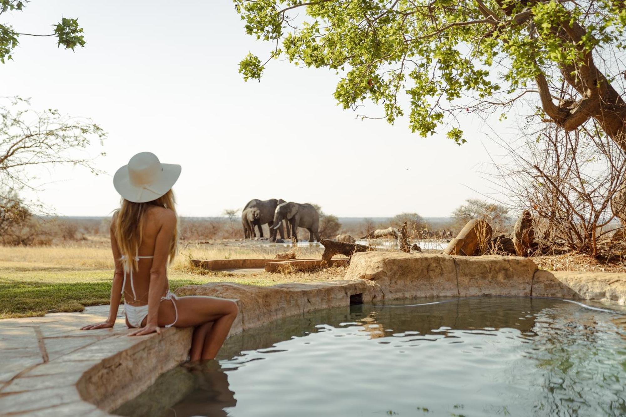 Last Word Madikwe Madikwe Game Reserve Eksteriør bilde