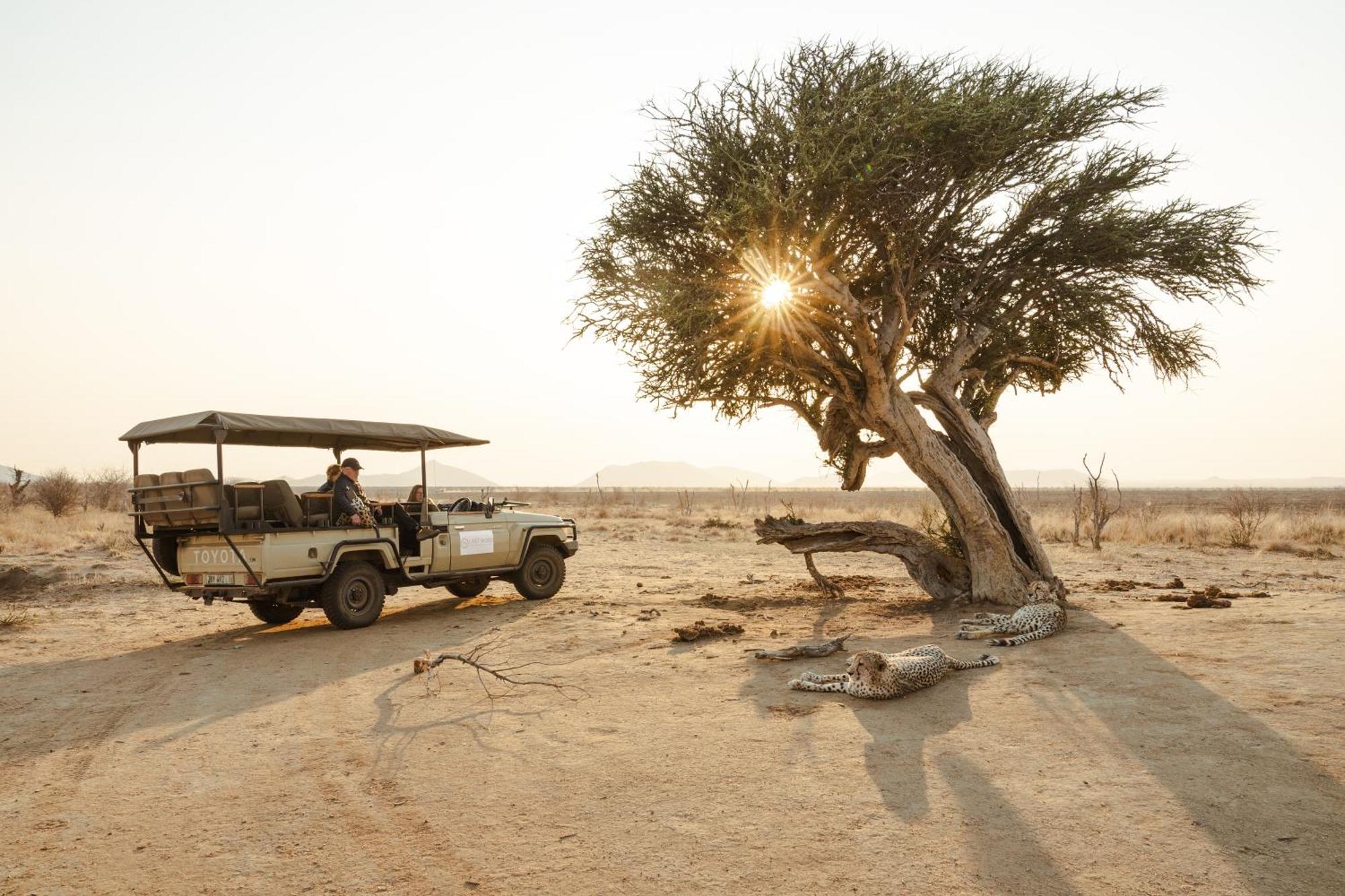 Last Word Madikwe Madikwe Game Reserve Eksteriør bilde