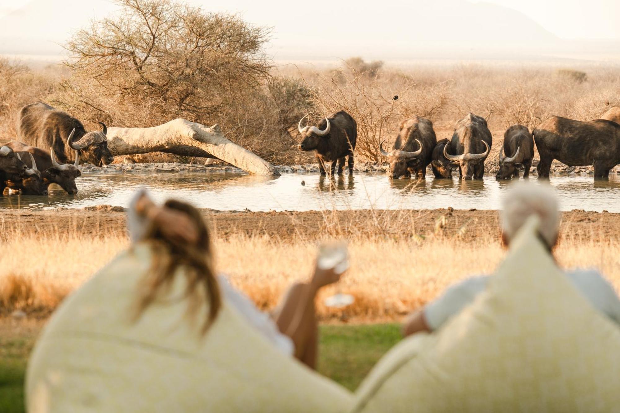 Last Word Madikwe Madikwe Game Reserve Eksteriør bilde